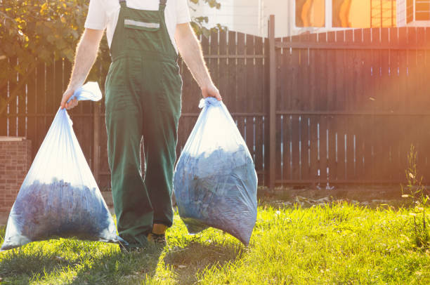 Best Office Junk Removal  in Holden, MO
